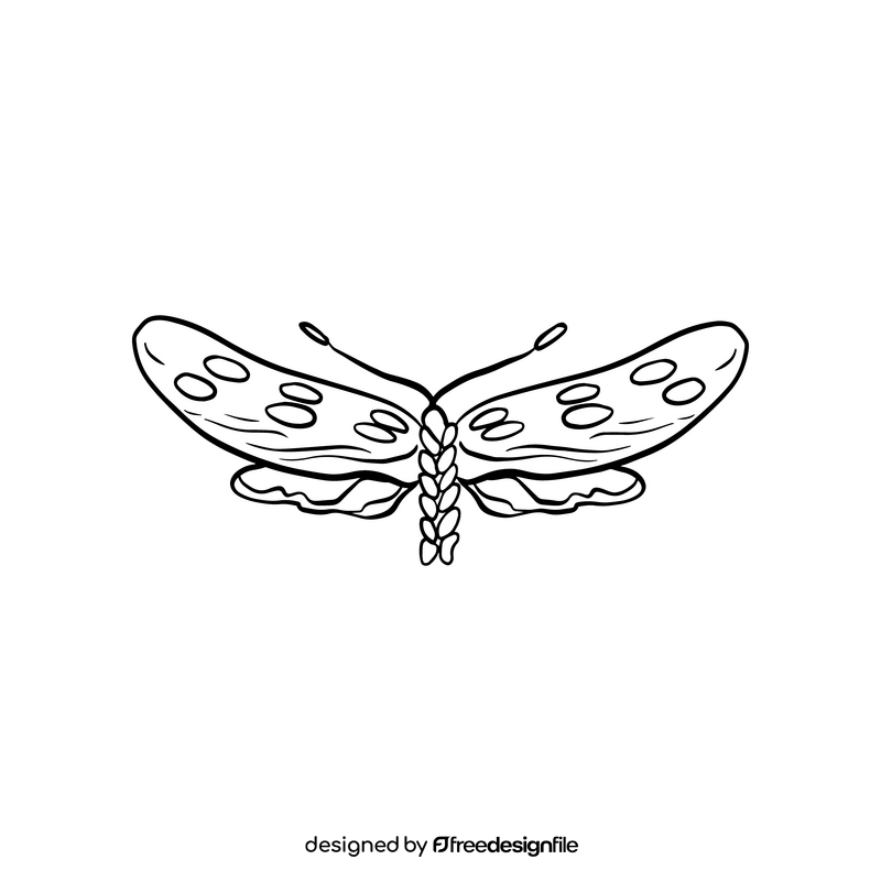 Free moth black and white clipart