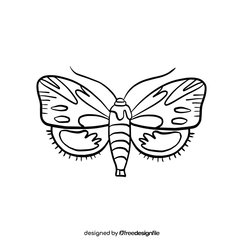 Moth drawing black and white clipart