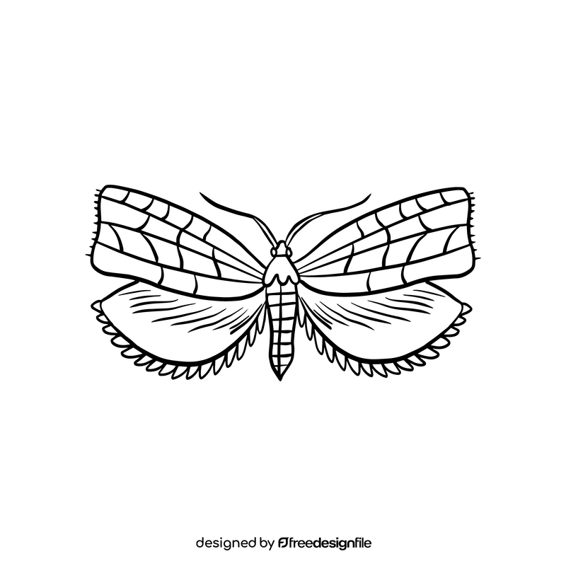 Brown moth black and white clipart