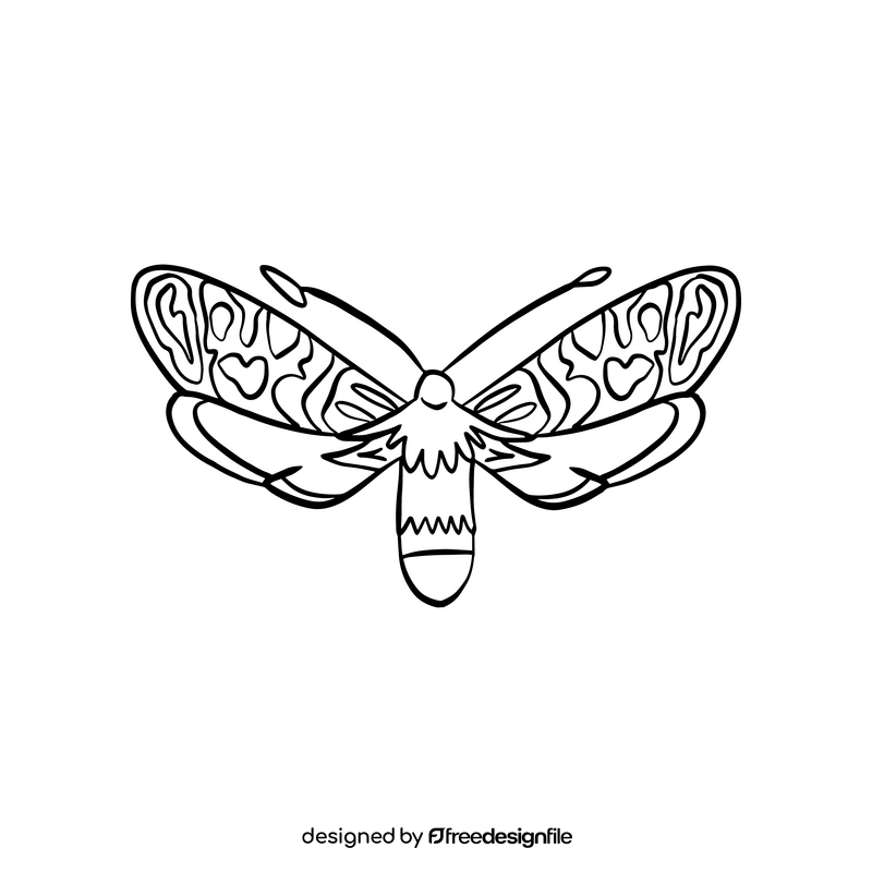 Moth drawing black and white clipart