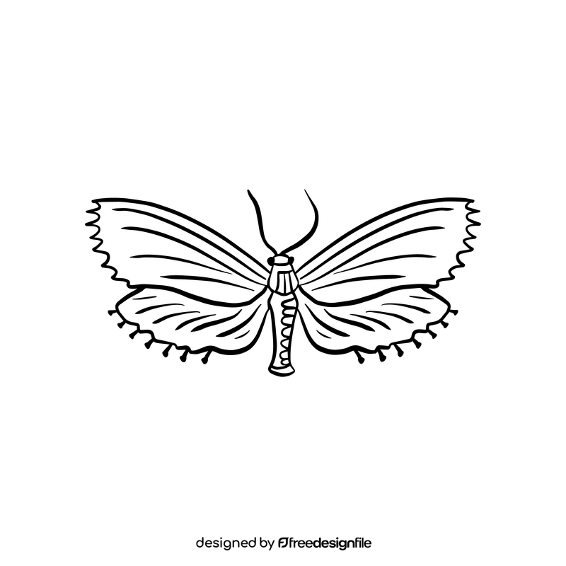 Moth black and white clipart