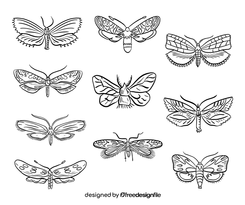 Cartoon moths black and white vector