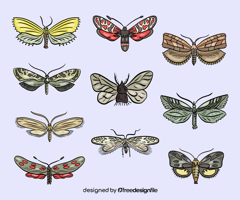 Cartoon moths vector