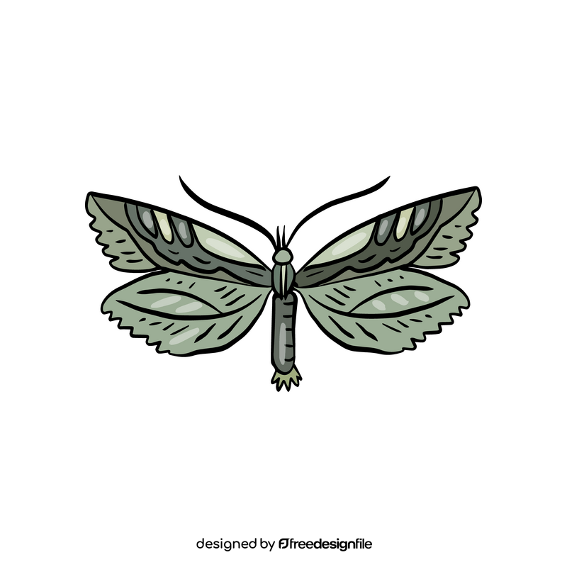 Green moth clipart