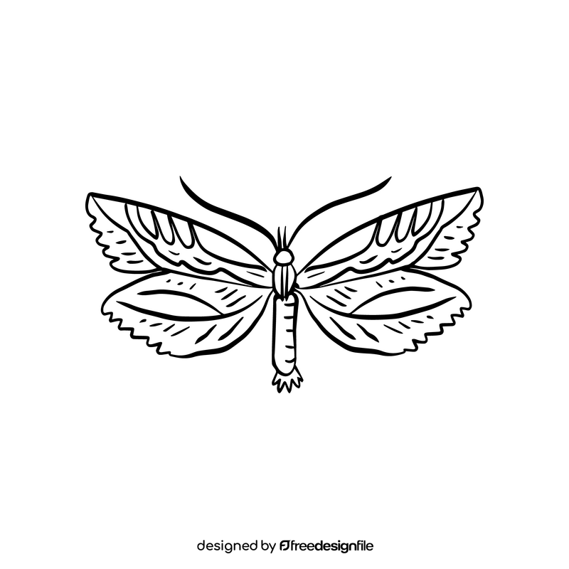 Moth black and white clipart