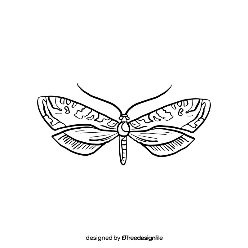 Moth black and white clipart