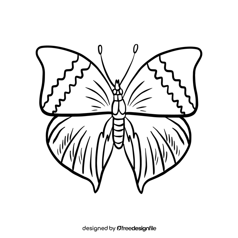 Moth cartoon black and white clipart