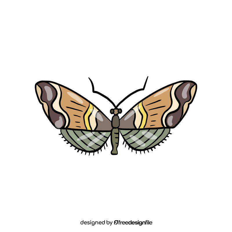 Cartoon moth clipart