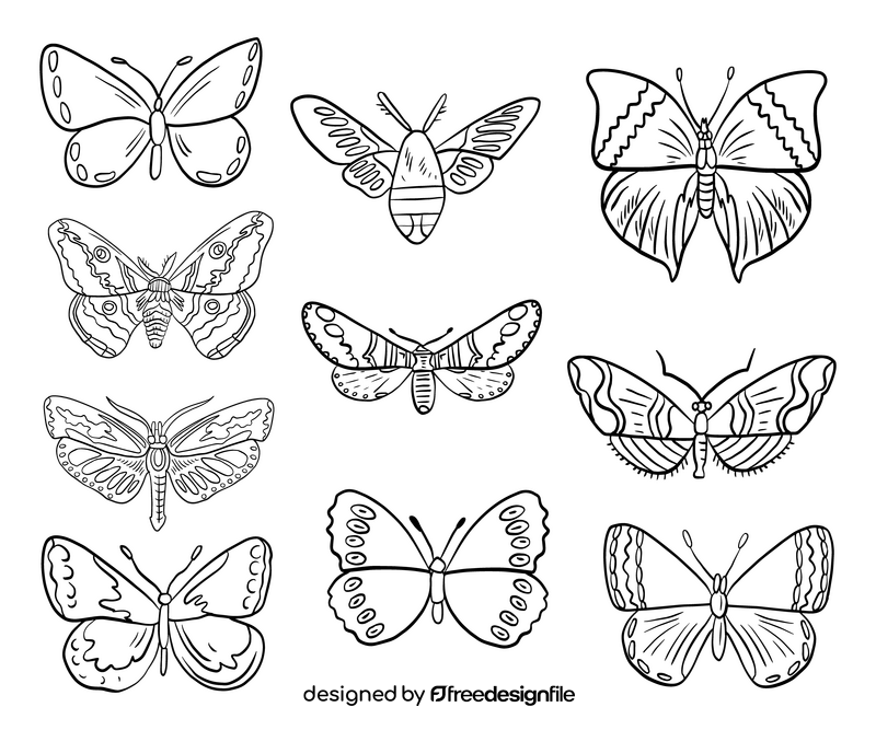 Free moth black and white vector
