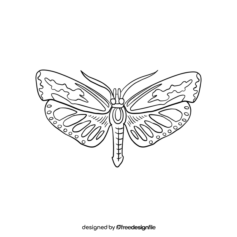 Moth black and white clipart