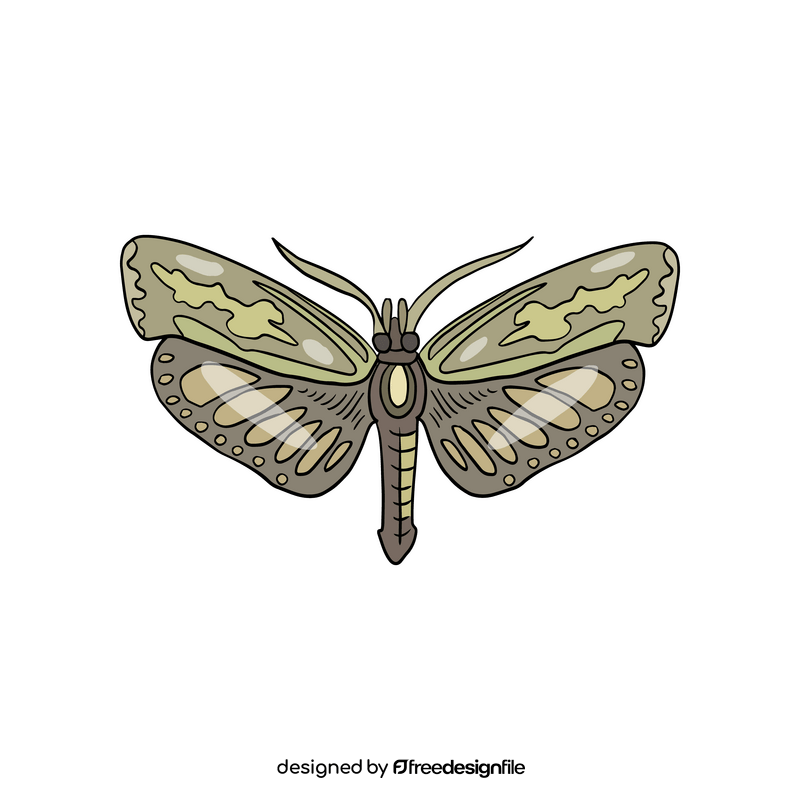 Moth clipart
