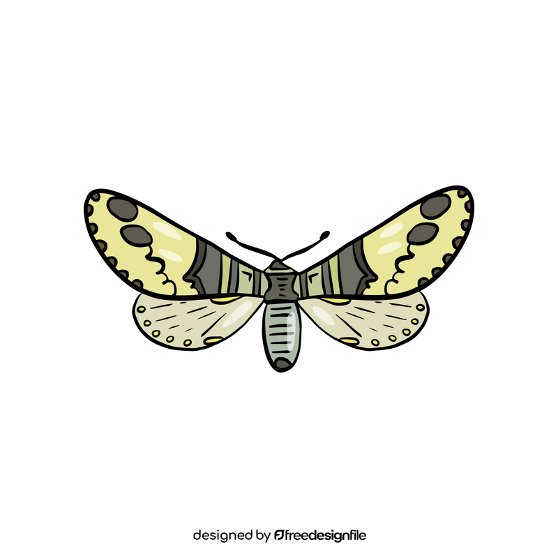 Free moth clipart