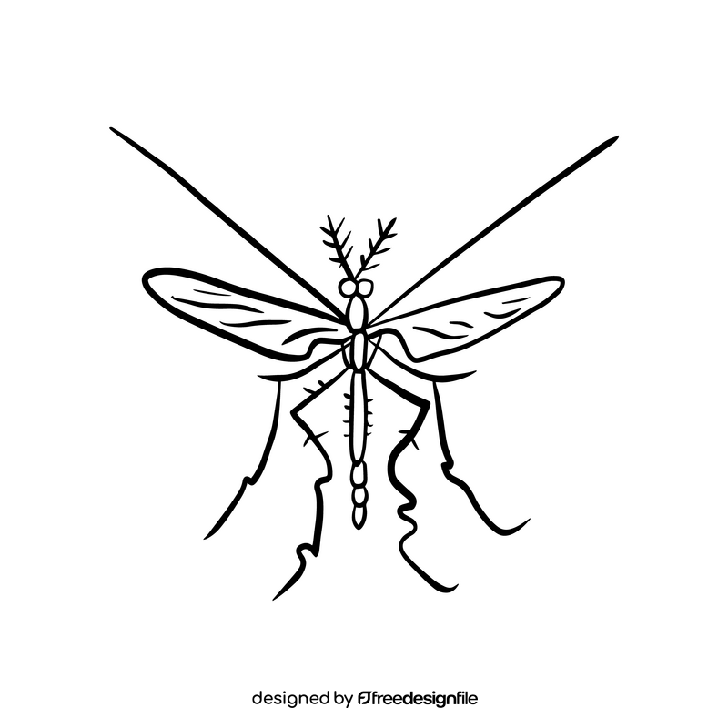 Mosquito illustration black and white clipart