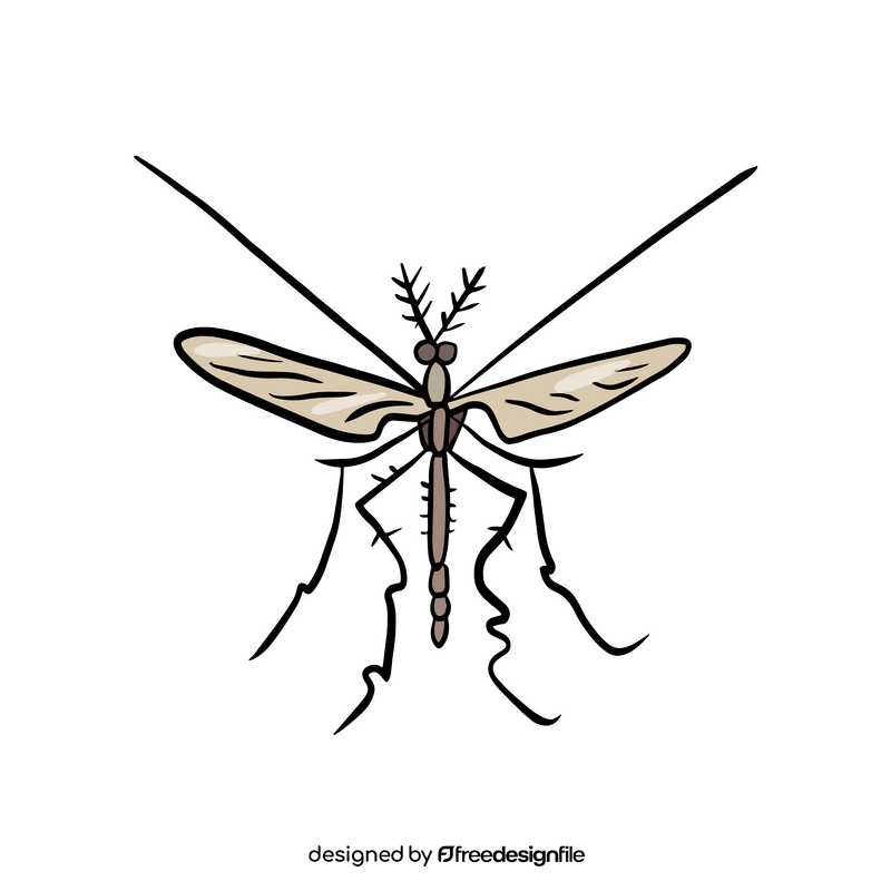 Mosquito illustration clipart