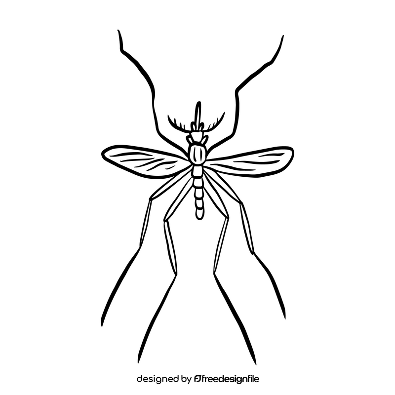 Mosquito cartoon black and white clipart