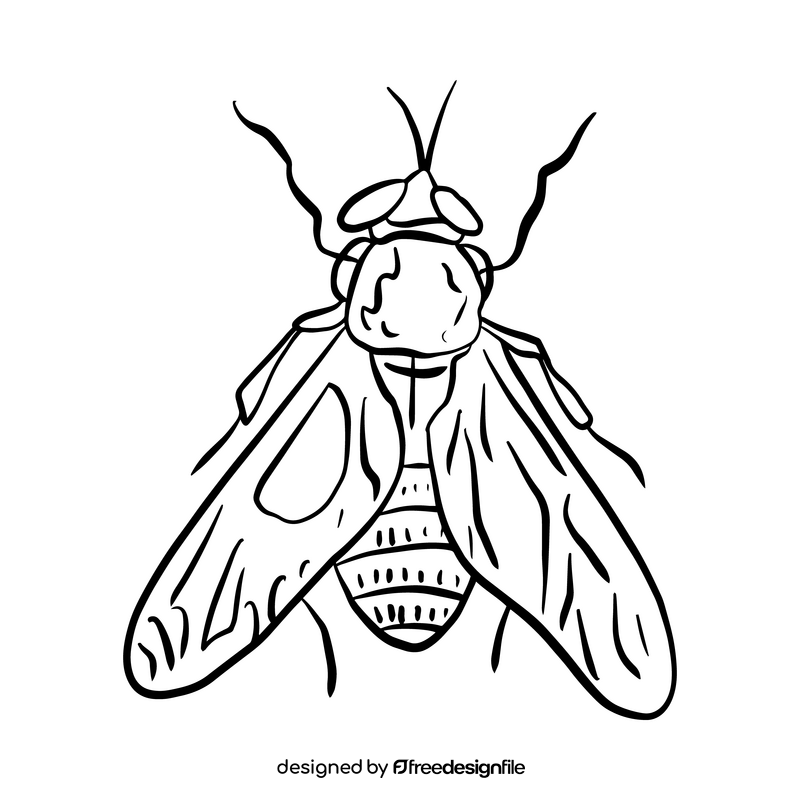 Free mosquito illustration black and white clipart