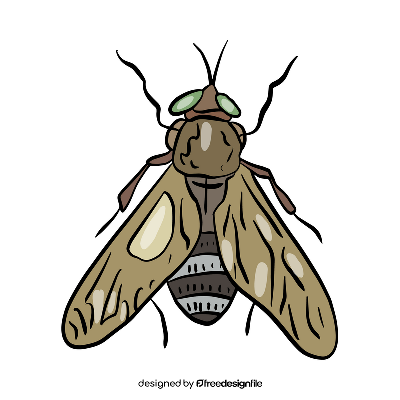 Free mosquito illustration clipart