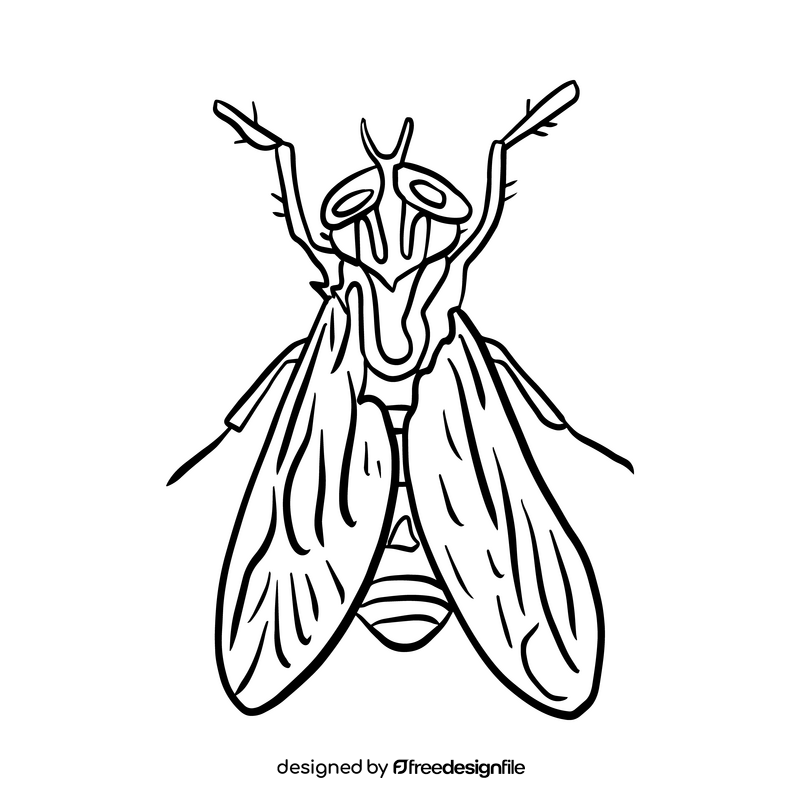 Mosquito drawing black and white clipart