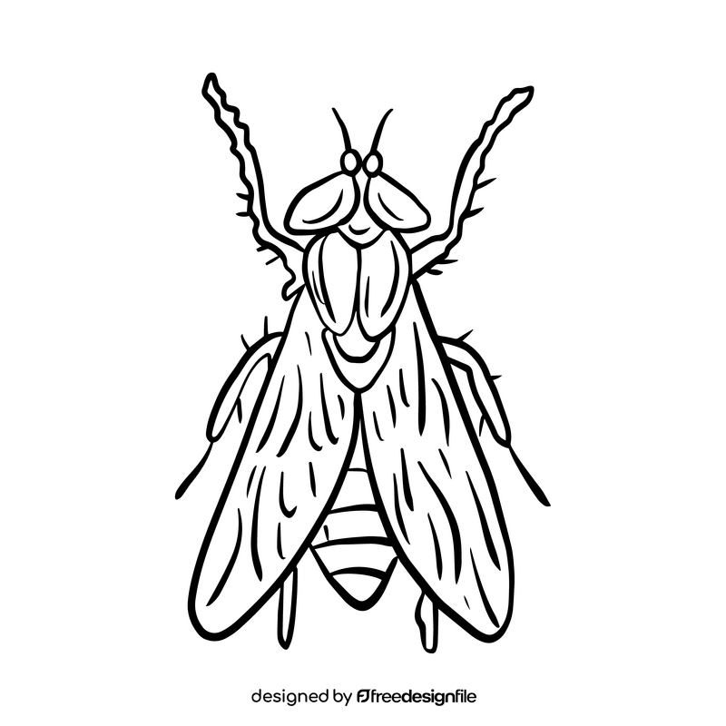 Mosquito cartoon drawing black and white clipart