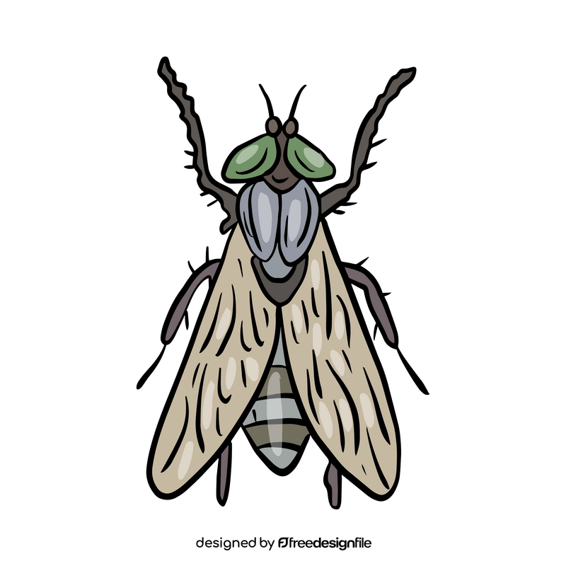Mosquito cartoon drawing clipart
