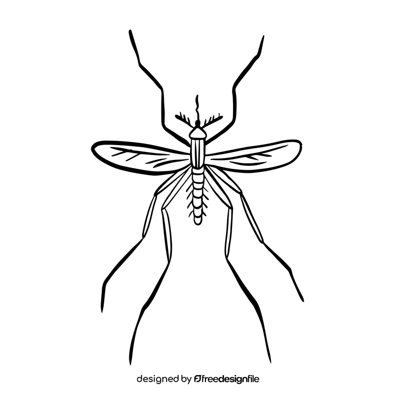 Cartoon mosquito black and white clipart