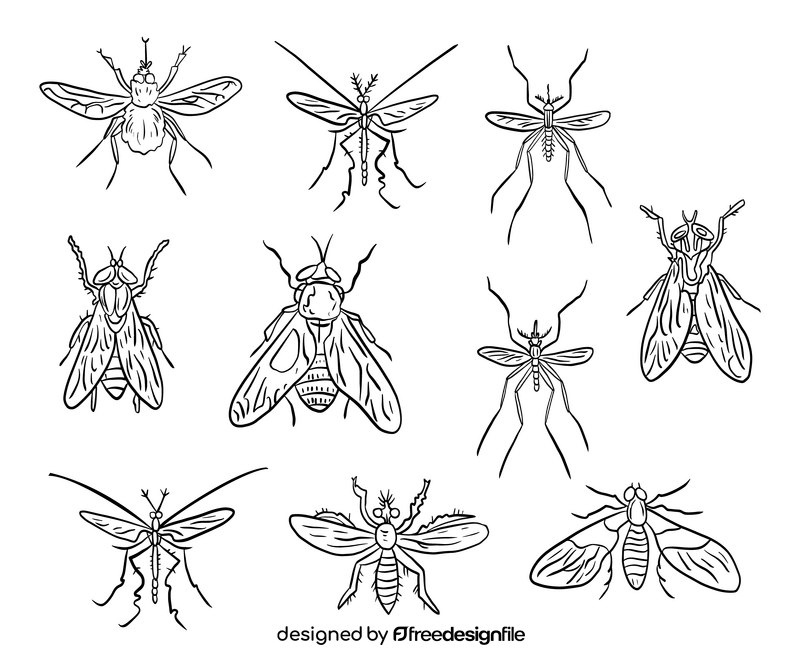 Mosquitoes black and white vector