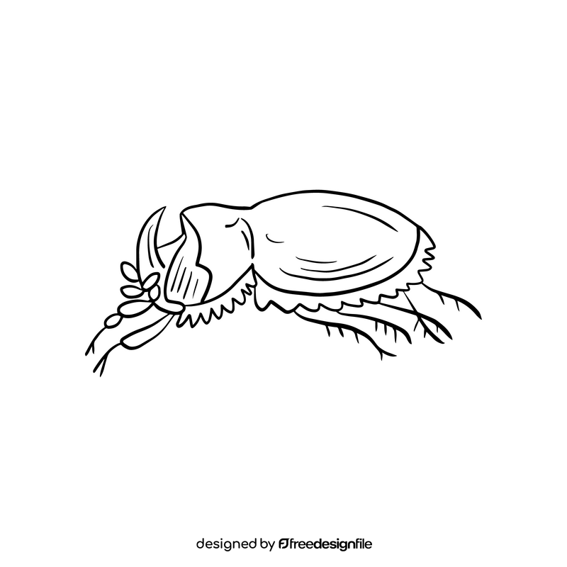 Beetle illustration black and white clipart