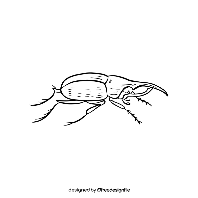 Beetle illustration black and white clipart