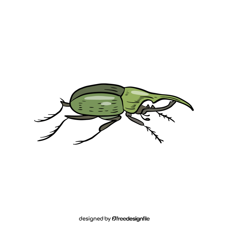 Green beetle illustration clipart