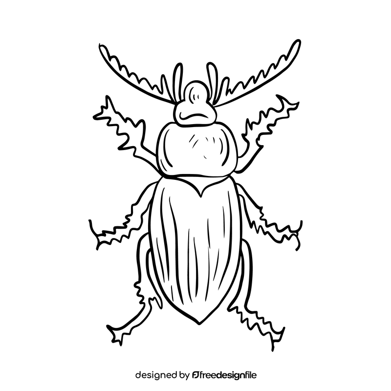 Beetle illustration black and white clipart