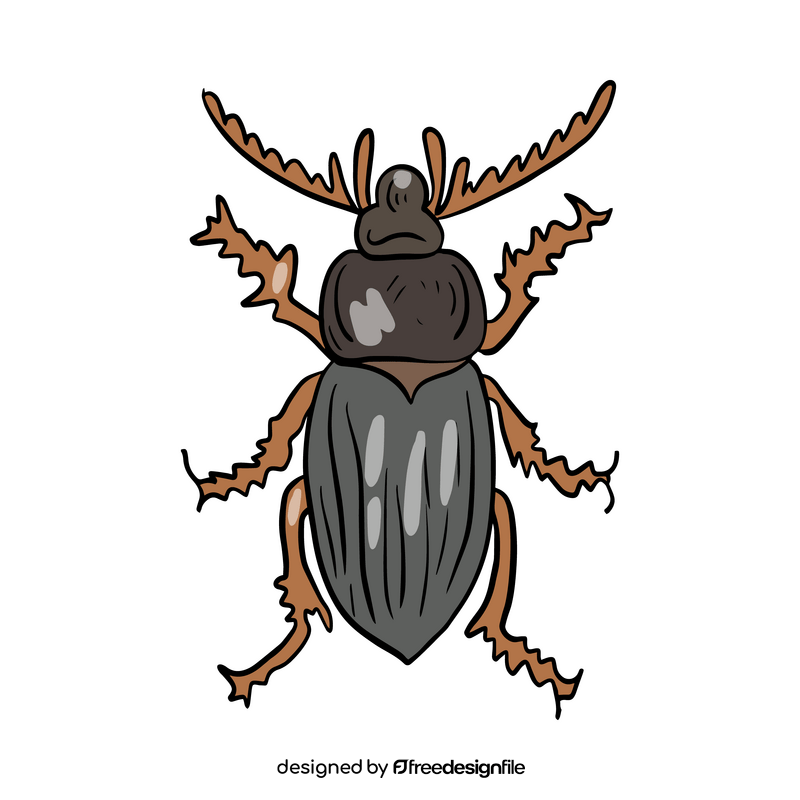 Beetle illustration clipart