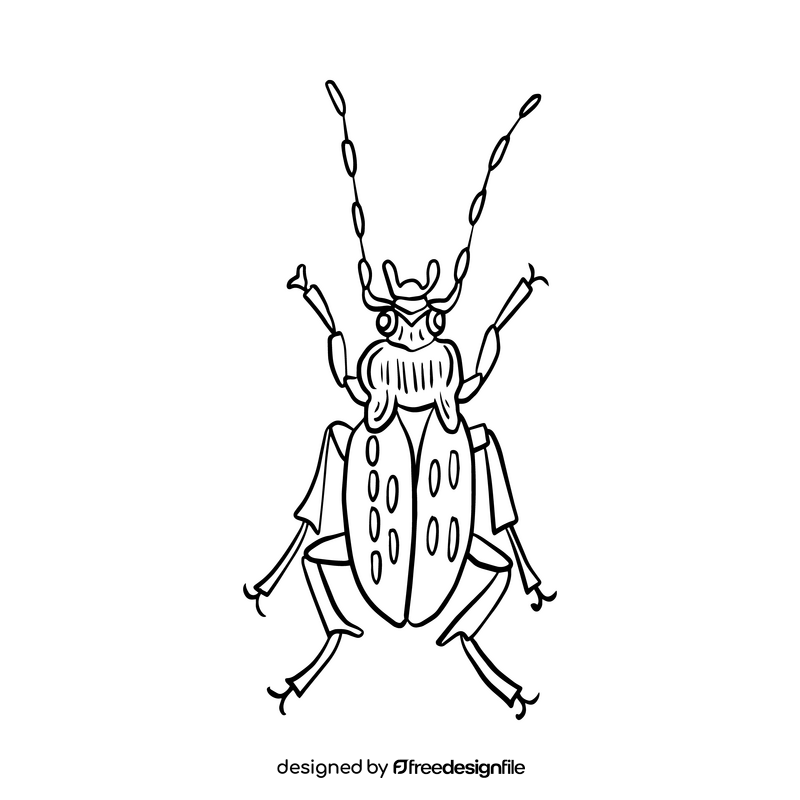 Beetle illustration black and white clipart