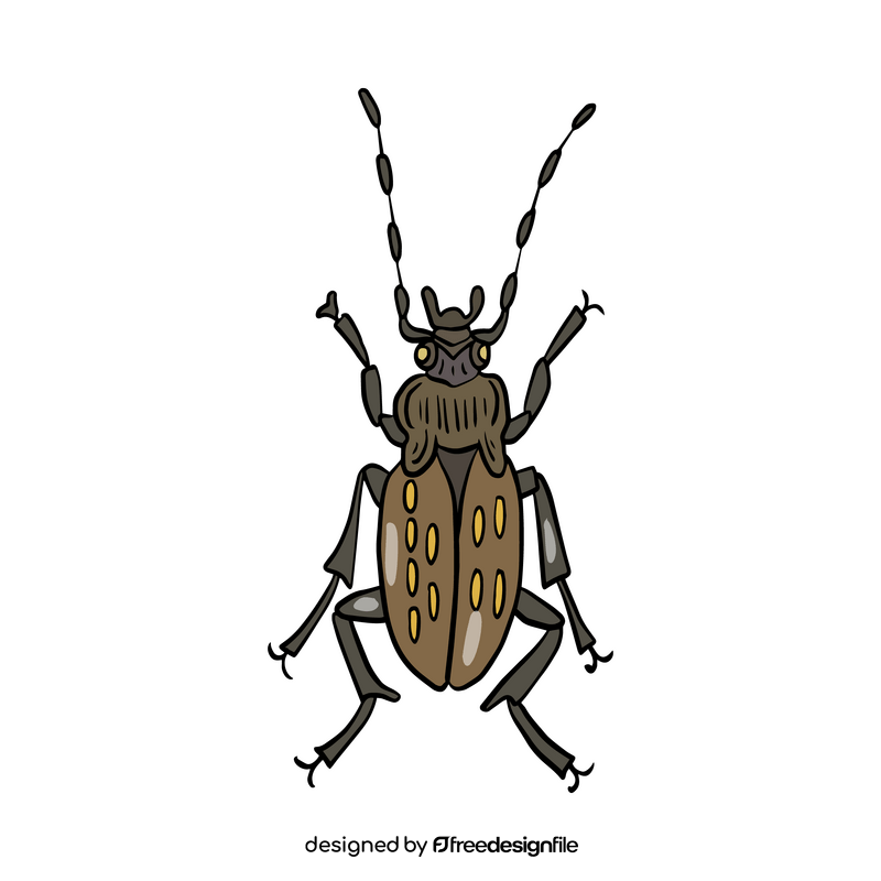 Beetle illustration clipart