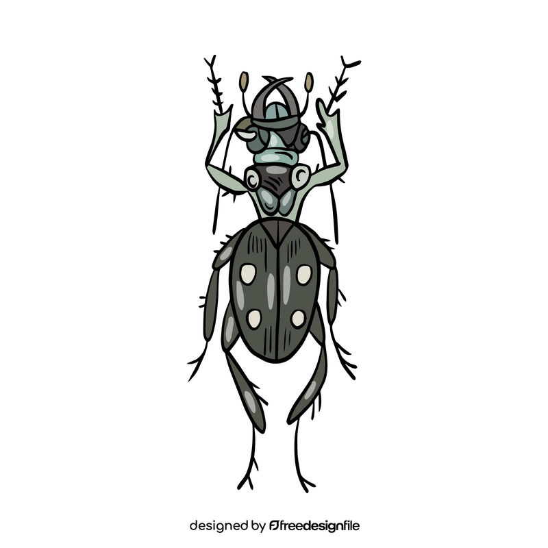 Free Beetle drawing clipart