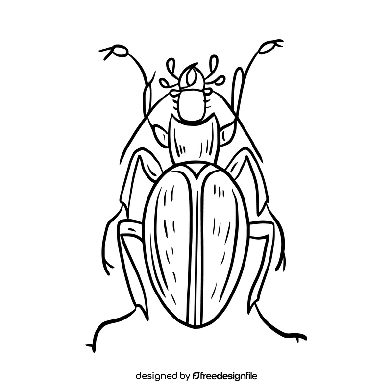 Beetle drawing black and white clipart