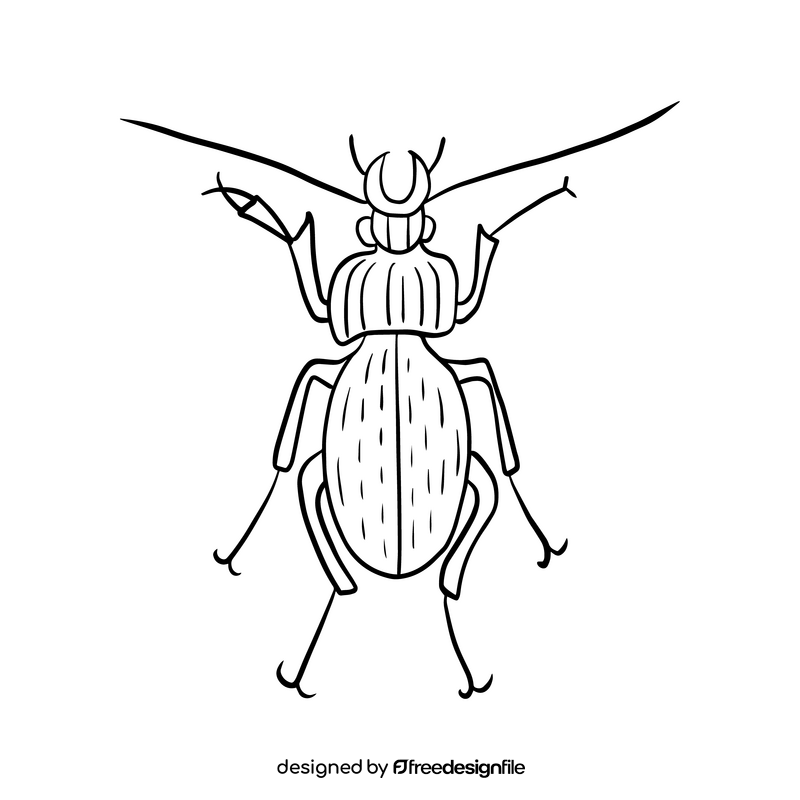 Free beetle black and white clipart