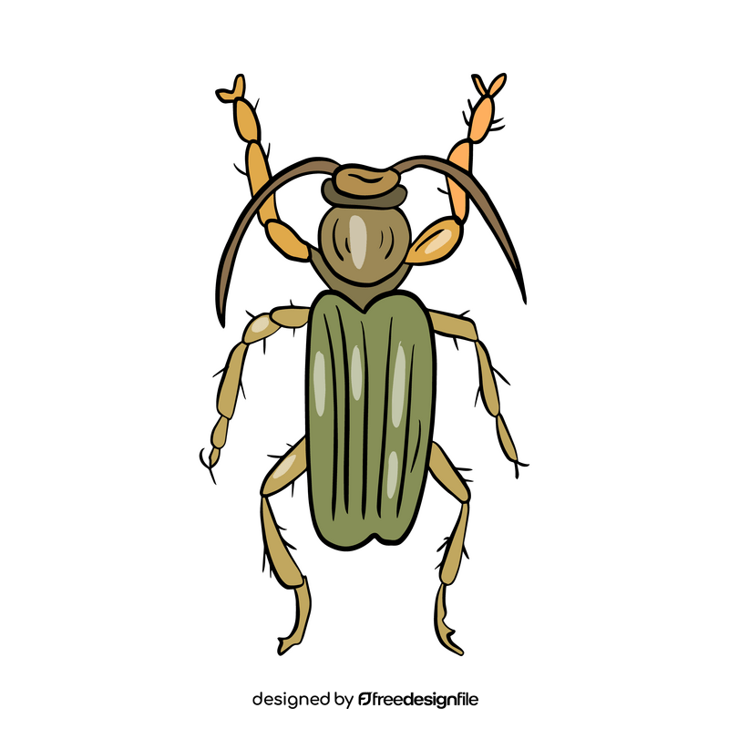 Cartoon beetle clipart