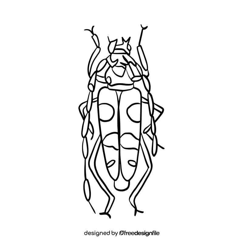 Beetle cartoon black and white clipart