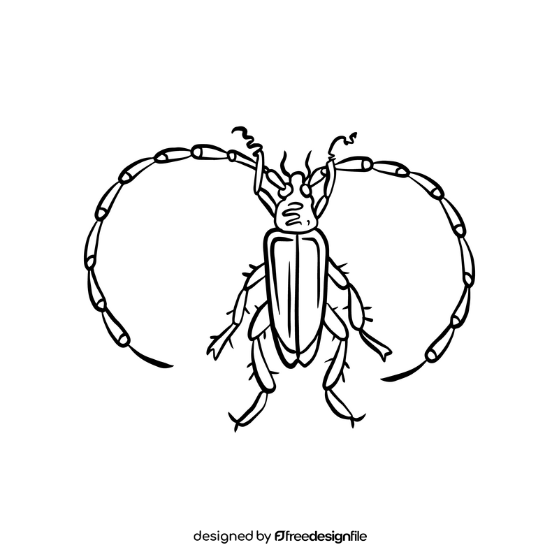 Beetle black and white clipart