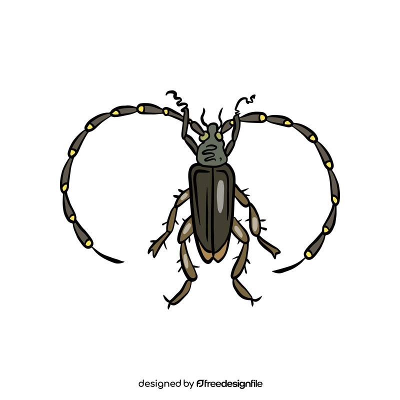 Beetle clipart