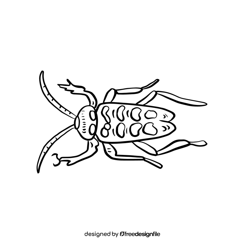 Beetle black and white clipart