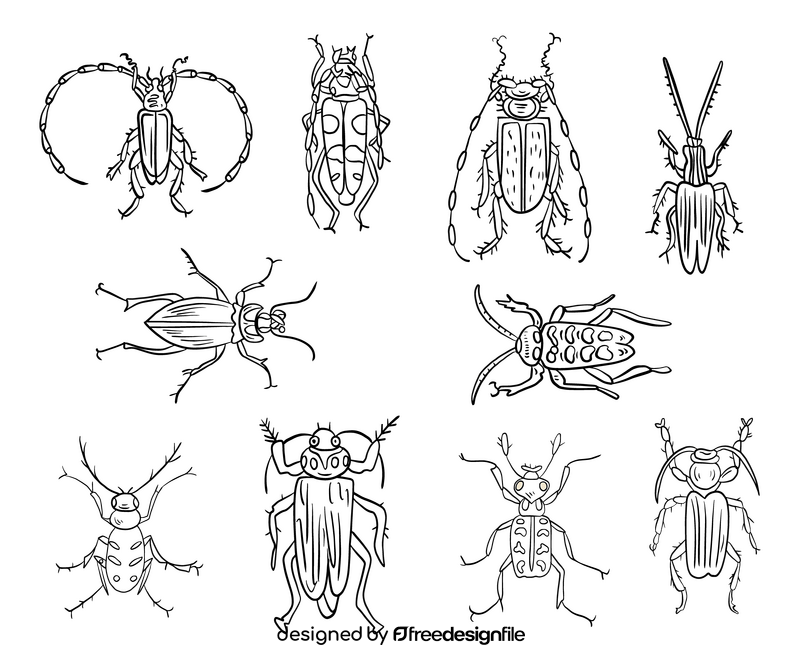 Beetles cartoon black and white vector