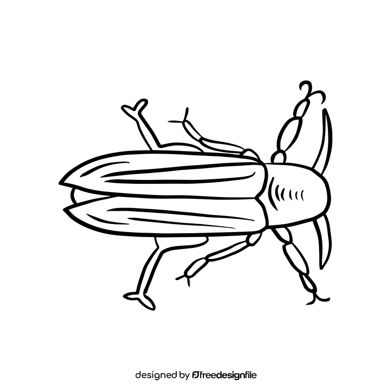 Beetle black and white clipart