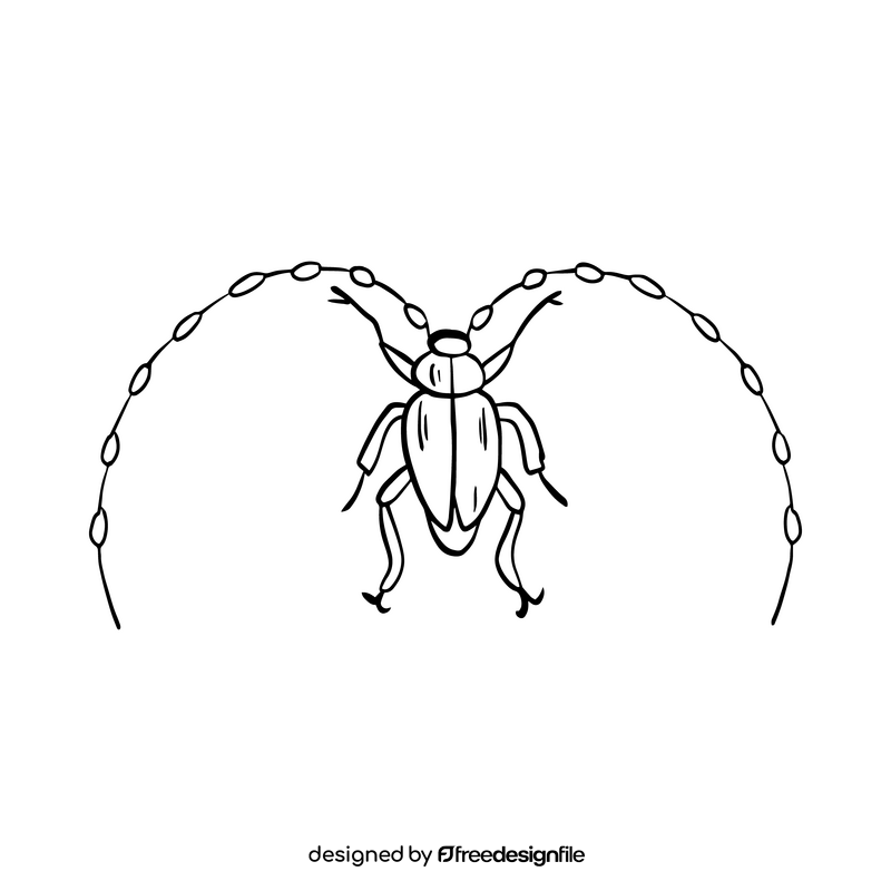 Free beetle drawing black and white clipart