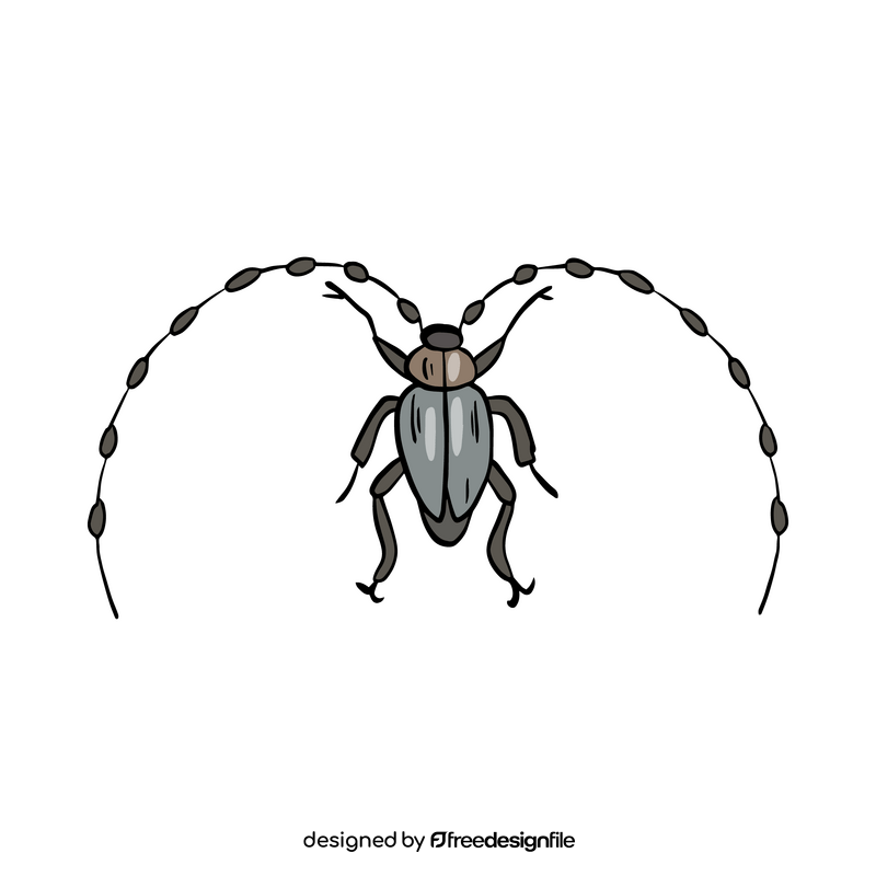 Free beetle drawing clipart