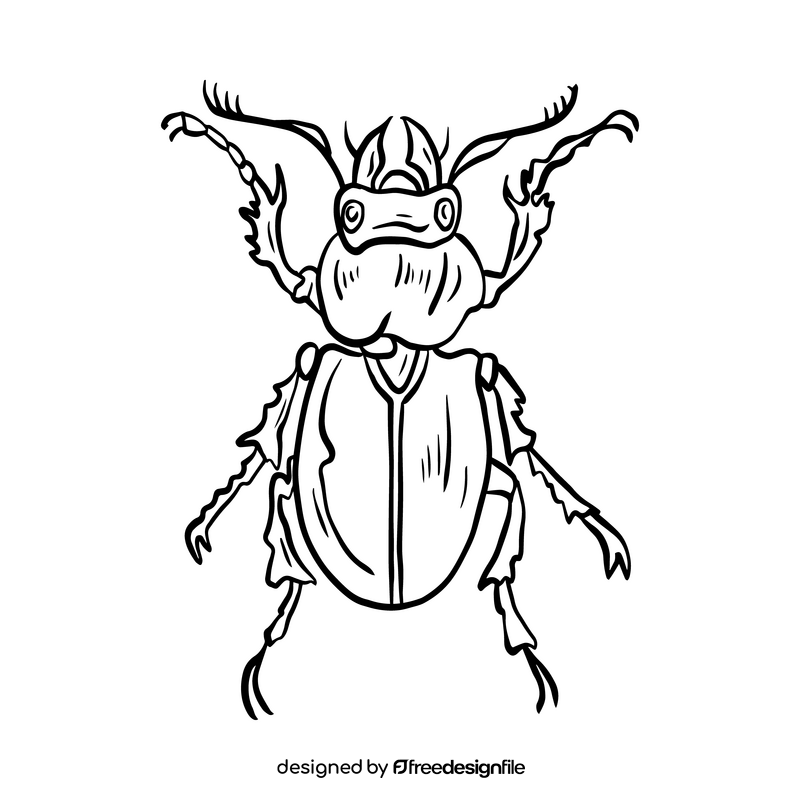 Beetle drawing black and white clipart