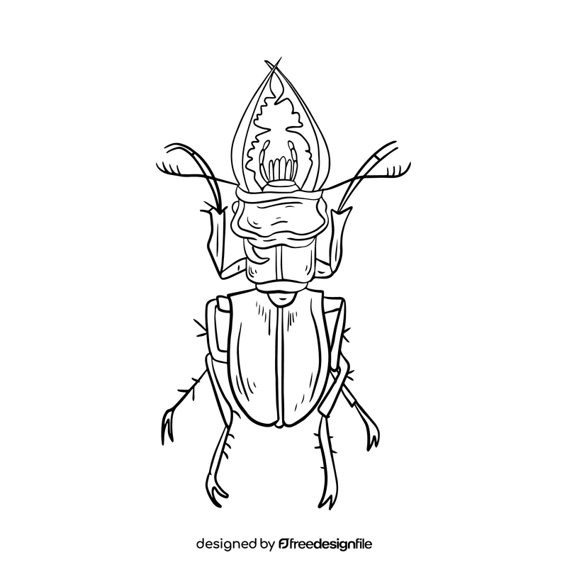 Beetle black and white clipart