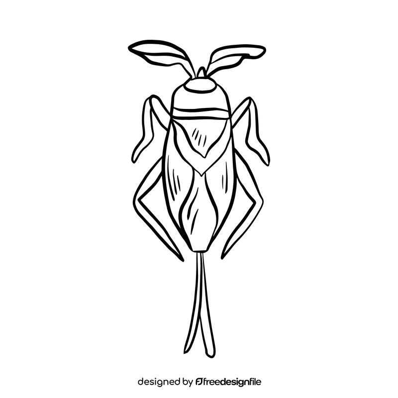Cartoon stink bug black and white clipart