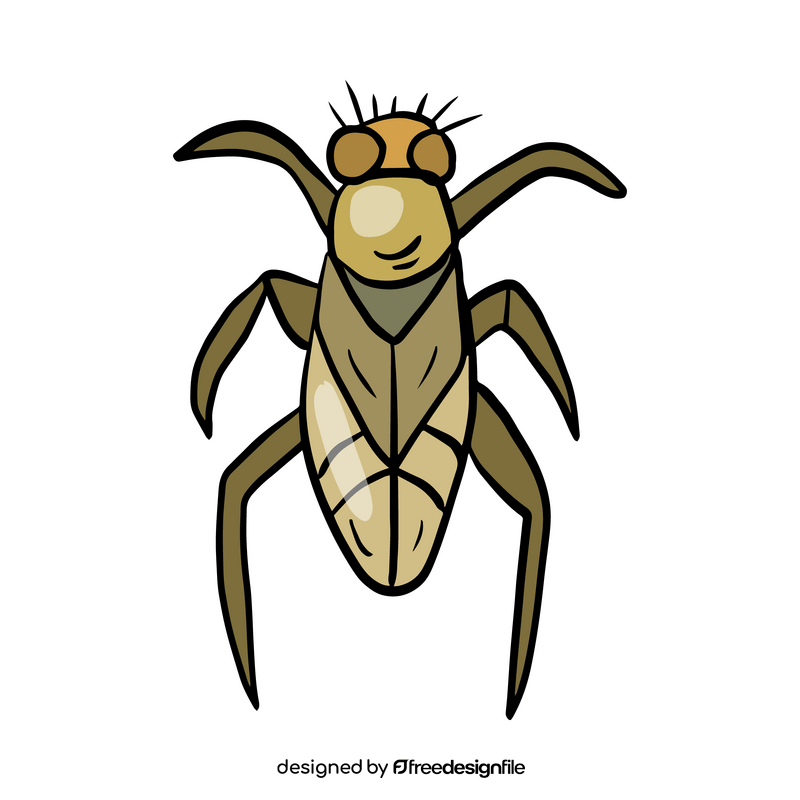 Stink bug illustration clipart