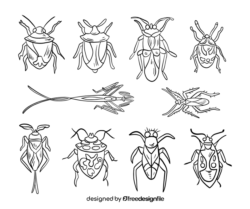 Stink bugs black and white vector